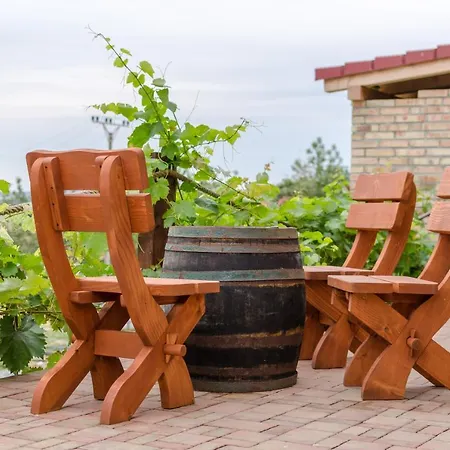 Ubytovani U Dvou Pratel Guest house Mikulov