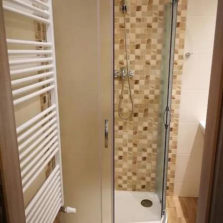 Guest house Ubytovani U Dvou Pratel
