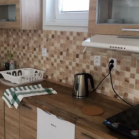 Guest house Ubytovani U Dvou Pratel