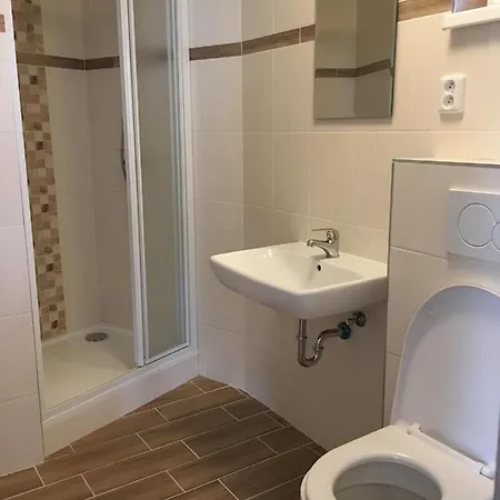 Guest house Ubytovani U Dvou Pratel *